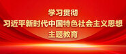 大鸡吧操晕我视频学习贯彻习近平新时代中国特色社会主义思想主题教育_fororder_ad-371X160(2)